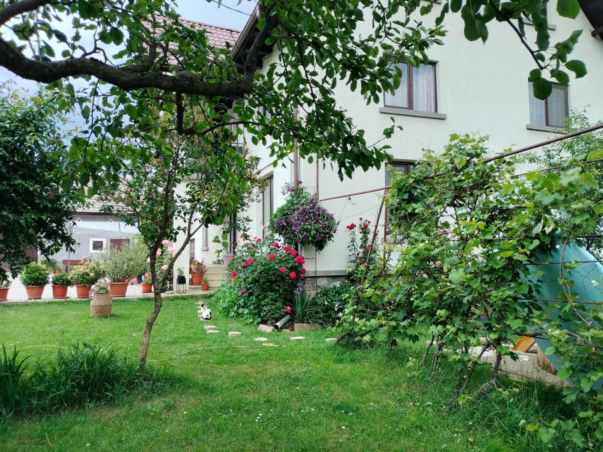 Casa Cornelia Hotel Bran  Exterior photo